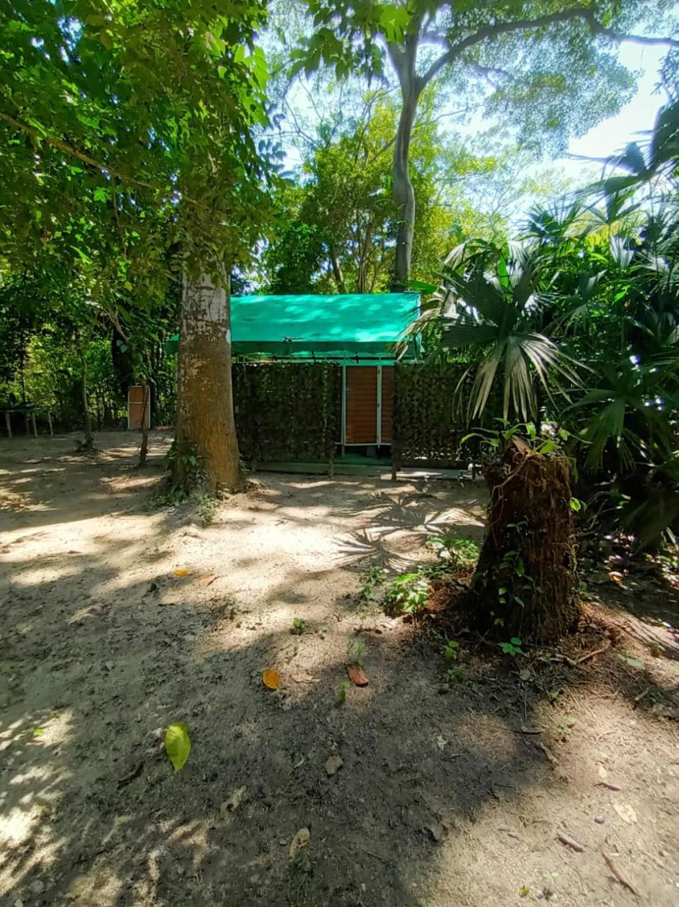 Happy Camping Arrecifes Dentro Del Parque Nacional Natural Tayrona El Coquito Luaran gambar